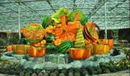 五彩田园吃瓜视频,一场视觉与味蕾的盛宴