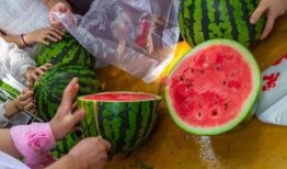 高密吃瓜最新消息视频大全,最新视频大全精彩回顾