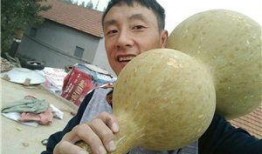 沂水吃瓜的视频,揭秘乡村美食的独特魅力