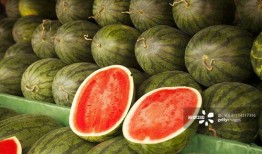 太和很火的吃瓜视频,揭秘娱乐圈幕后风云