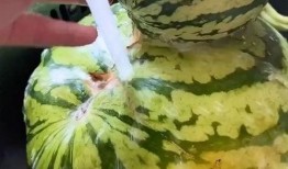 吃生瓜的搞笑视频