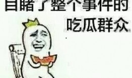 吃瓜群众碰拳二哈视频全集,一场欢乐的宠物互动盛宴