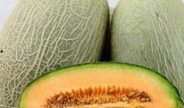 吃长毛的哈密瓜好吗视频,口感与营养的双重享受