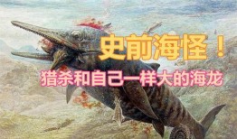 海怪吃瓜视频大全,海怪吃瓜视频大全揭秘