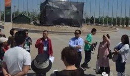 柳州集体吃瓜事件视频,一场引发热议的社区现象