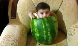 最新最热门吃瓜视频大全,揭秘娱乐圈幕后真相