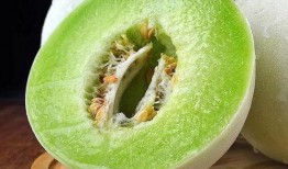 胶东玉瓜怎么吃最好吃视频,胶东玉瓜美味食法大揭秘