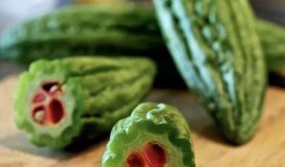 沐龙泉吃瓜视频是什么情况,网络热议背后的真相