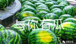 天津大学吃瓜原视频,揭秘校园网络热传视频背后的真相