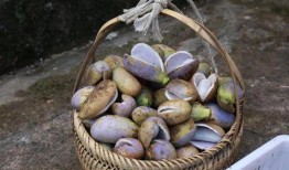 群众吃瓜炸屏视频