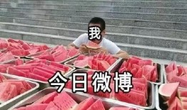 吃瓜把人吃了怎么处理视频,视频揭示惊人真相，处理措施引关注