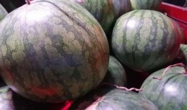 现在有人吃瓜视频吗,揭秘当下热门吃瓜视频现象