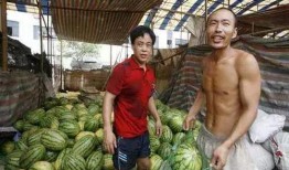 乌海市吃瓜事件真相视频