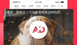 吃瓜爆料大嘴猴视频下载,吃瓜爆料背后的精彩瞬间