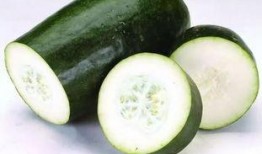 最新最热门吃瓜视频大全,揭秘娱乐圈幕后真相