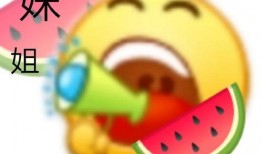 寿光西城吃瓜视频在线