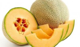 哈密瓜怎么吃最好吃视频,视频教你如何吃出最佳口感
