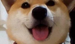 狗头吃瓜视频总集,笑料横生的视频总集回顾