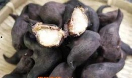 吃菱角瓜的好处和坏处视频,营养益处与潜在风险一览