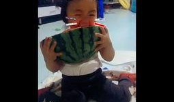 小孩吃瓜记视频,小孩吃瓜记的欢乐时光