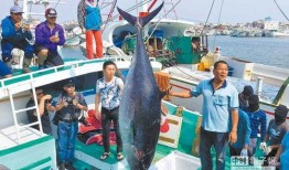 渔民吃瓜台湾事件视频播放,一场引发热议的网络视频风波