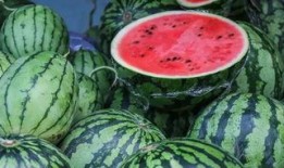 新疆吃瓜事件图片视频,真相与误解的交织