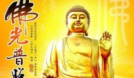 佛祖保佑吃瓜视频大全,吃瓜视频大全精选回顾