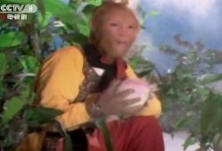 猴哥吃佛手瓜视频,佛手瓜美食之旅