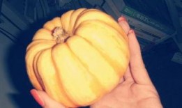 架瓜可以蒸着吃吗视频教程,简单美味家常菜做法