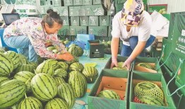 汾阳最近吃瓜事件视频,揭秘网络热议背后的真相