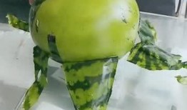 啥瓜能剥皮吃呢视频,探索美味瓜果的秘密