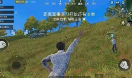 国外吃鸡主播吃瓜视频