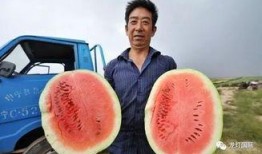 甜甜视频吃瓜中国