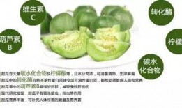 香瓜园吃瓜视频在线观看