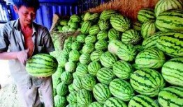 陕西吃瓜视频大全集,吃瓜视频大全集带你领略地道风味