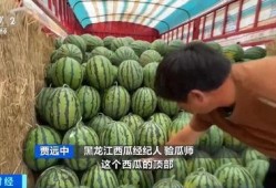 湖州吃瓜达人棒棒糖视频,揭秘当地特色美食背后的故事