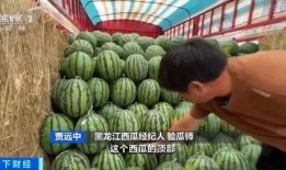 湖州吃瓜达人棒棒糖视频,揭秘当地特色美食背后的故事