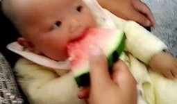 宝贝们理智吃瓜视频