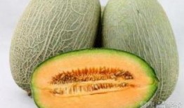 吃哈密瓜视频原创,一窥视频原创背后的甜蜜瞬间