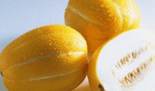 香瓜园吃瓜视频在线观看