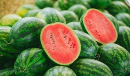 荥经吃瓜视频,揭秘当地特色美食背后的故事