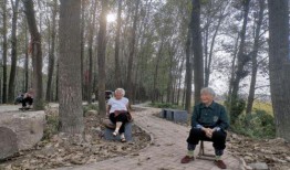 滨河公园吃瓜事件始末视频,一场引发热议的公共冲突始末