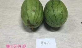 打架吃瓜原视频,打架吃瓜现场，网友直呼“太刺激”