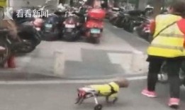 吃瓜狗车祸视频大全最新,瞬间还原事故现场