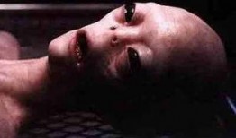 吃瓜遇到外星人视频大全,吃瓜群众意外捕获外星人惊悚瞬间