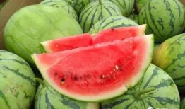 台媒吃瓜最新消息今天视频,最新吃瓜消息引发热议！”