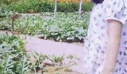 亲近自然吃瓜视频大全,吃瓜视频大全精选回顾