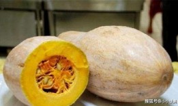 吃鸡视频南瓜冬瓜哈密瓜,欢乐“吃鸡”之旅