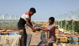 前排吃瓜群众已就位视频,视频揭秘幕后花絮