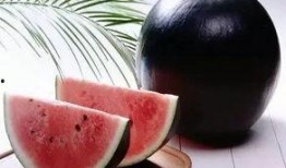 贵州口音吃瓜搞笑视频,笑料横生，方言魅力尽展